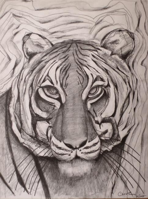 Drawing titled "Tiger" by Edward Chernesky, Original Artwork