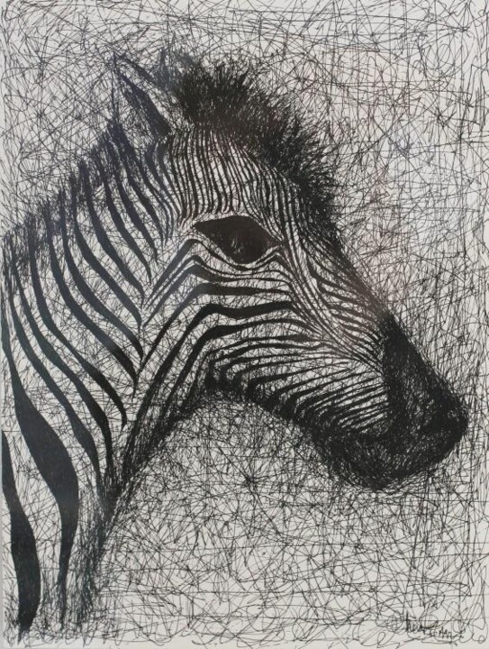 Drawing titled "Zebra" by Edward Chernesky, Original Artwork