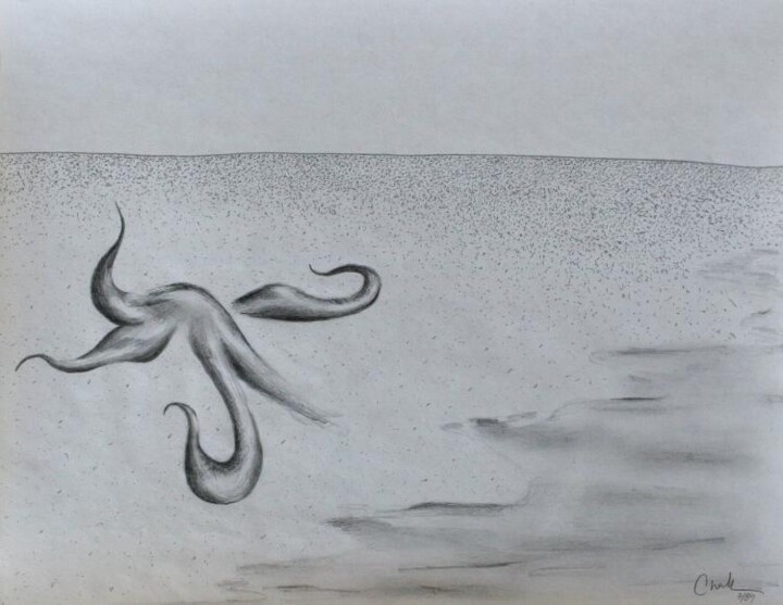 Drawing titled "starfish" by Edward Chernesky, Original Artwork