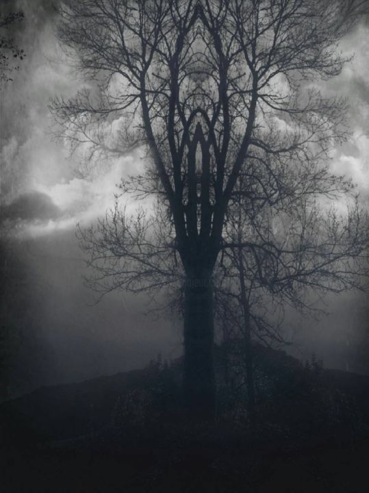 Digital Arts titled "Tree" by Ed Ward, Original Artwork, Photo Montage