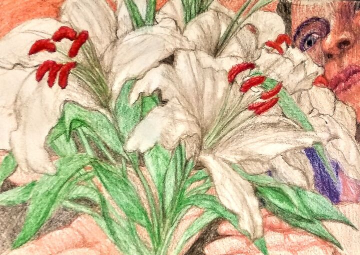 Dessin intitulée "White Lilies" par Edwin Loftus, Œuvre d'art originale, Crayon Monté sur Autre panneau rigide