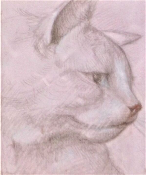 Drawing titled "Cat in Pink" by Edwin Loftus, Original Artwork, Silverpoint Mounted on Other rigid panel