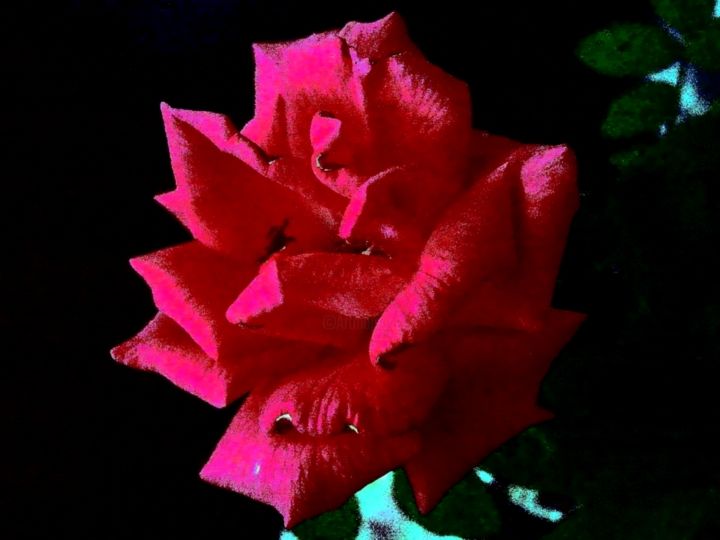 Painting titled "A Rose" by Eddie Davis, Original Art,