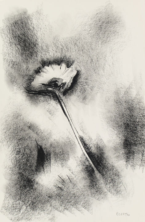 Drawing titled "DAISY" by Etienne Eczet, Original Artwork, Charcoal