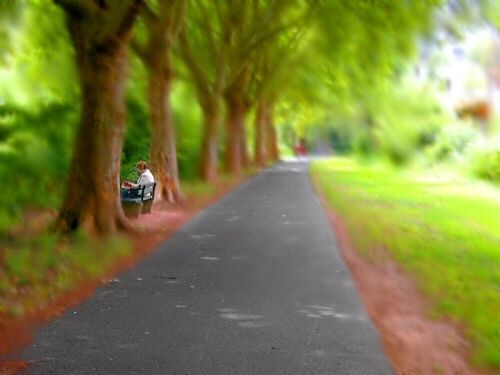 Photographie intitulée "All life is outside" par Efi Keren, Œuvre d'art originale,