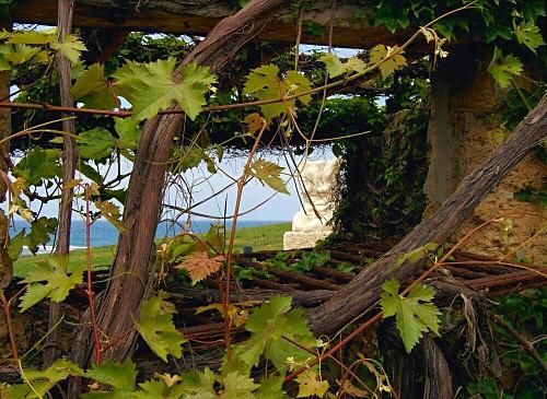 Photographie intitulée "Composition 1" par Efi Keren, Œuvre d'art originale,