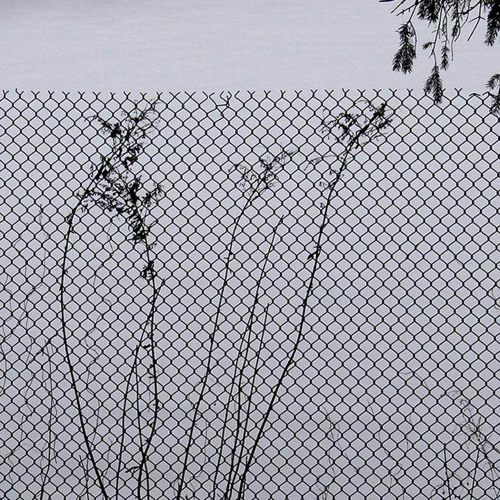 Photography titled "08-winter-fence-egi…" by Egils Spuris, Original Artwork