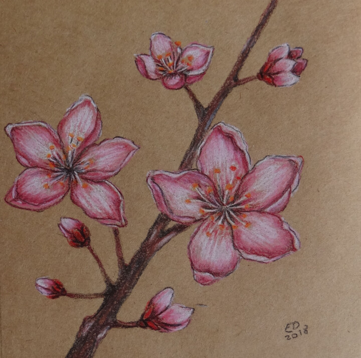 Drawing titled "Cherry blossom pris…" by Eileenddesign, Original Artwork