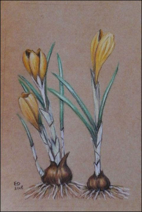 Peinture intitulée "crocus.jpg" par Eileenddesign, Œuvre d'art originale