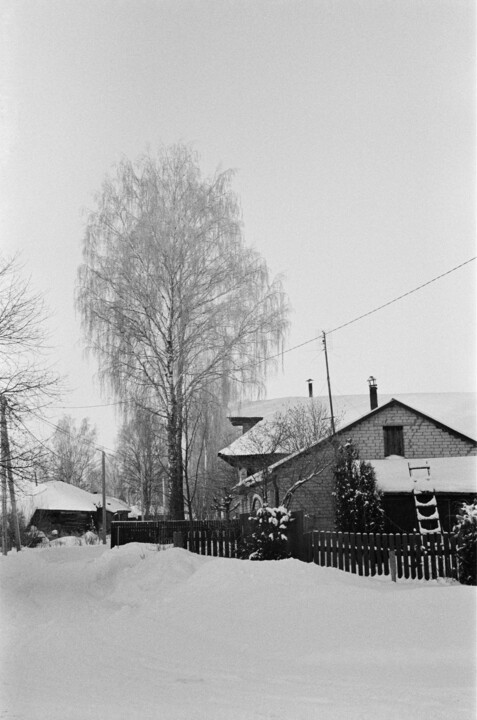Fotografia zatytułowany „The birch in silence” autorstwa Ekaterina Kastalskaya, Oryginalna praca, Fotografia filmowa