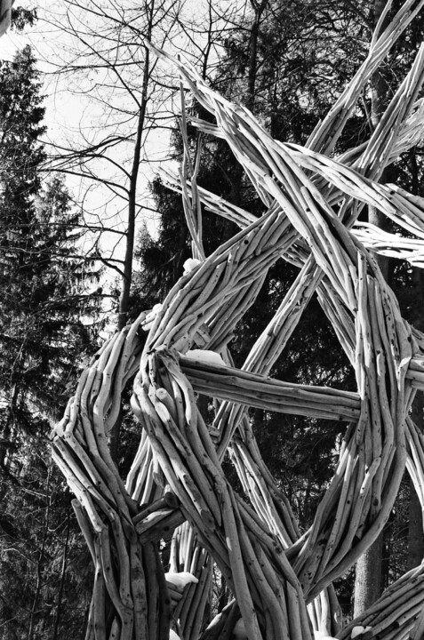 Fotografia intitulada "Bizarre trees" por Ekaterina Kastalskaya, Obras de arte originais, Fotografia de filme