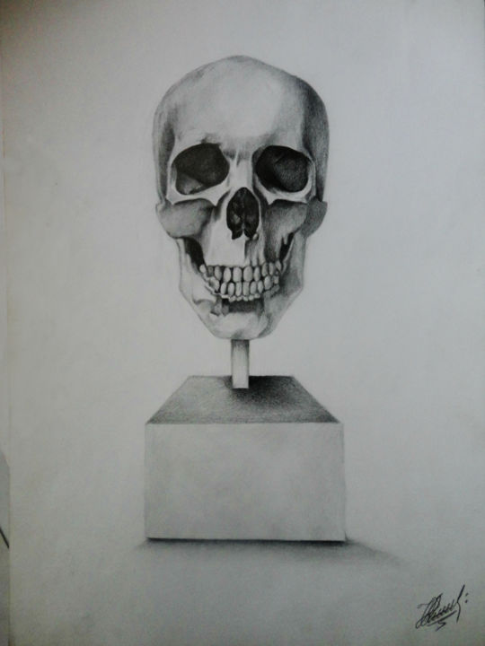 Dessin intitulée "Skull" par Ekaterinakirova, Œuvre d'art originale, Crayon