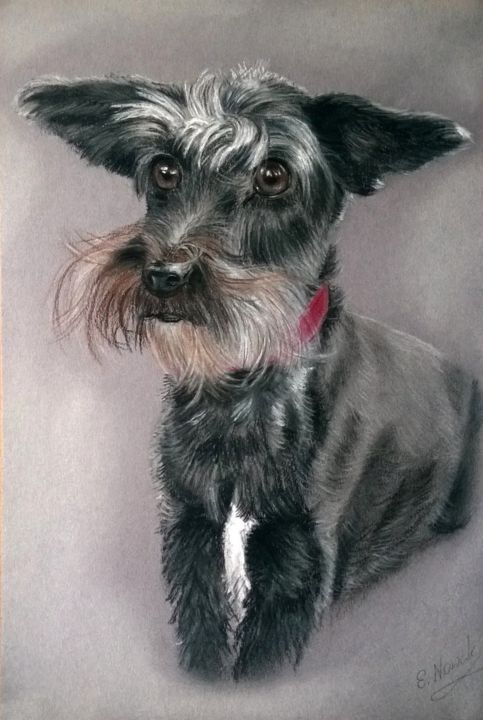 Drawing titled "Hund" by Ela Nowak, Original Artwork, Pastel