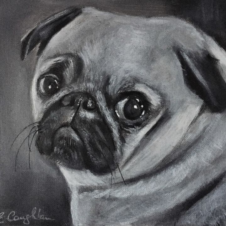 Painting titled "Pug" by Elaine Coughlan, Original Artwork, Acrylic Mounted on Cardboard