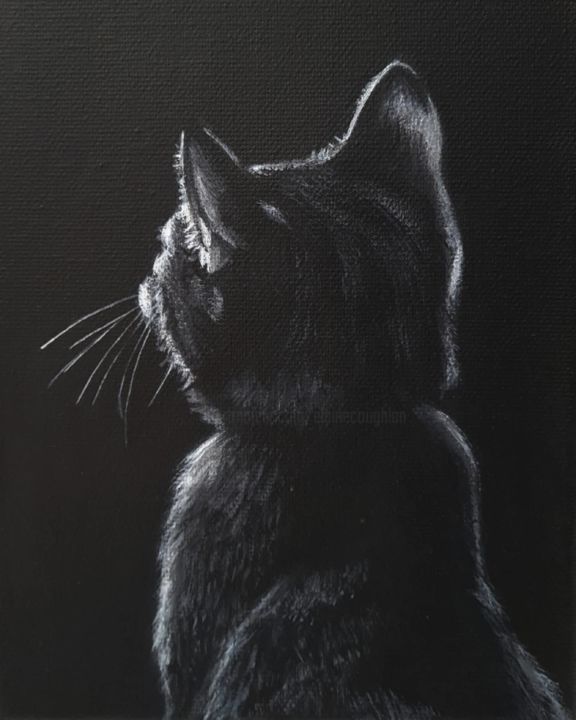 Painting titled "Cat shadow." by Elaine Coughlan, Original Art, Acrylic