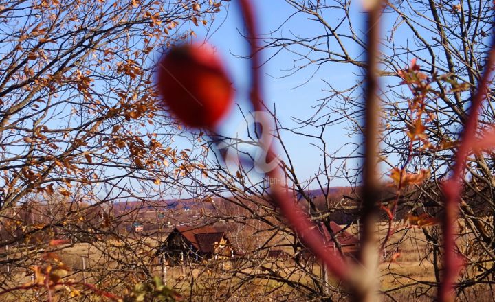 Фотография под названием "lointain" - Elen Ruzh, Подлинное произведение искусства