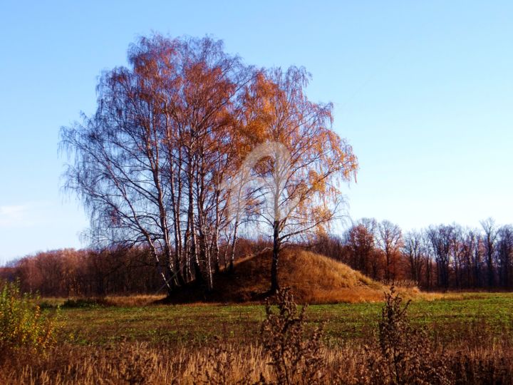 Photography titled "еще березки" by Elen Ruzh, Original Artwork