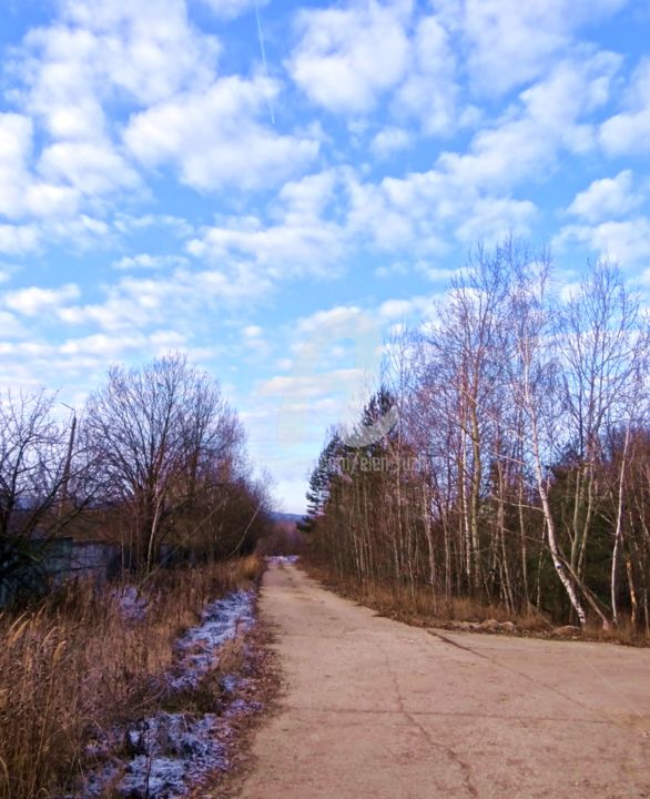 "Дороги.Wege" başlıklı Fotoğraf Elen Ruzh tarafından, Orijinal sanat