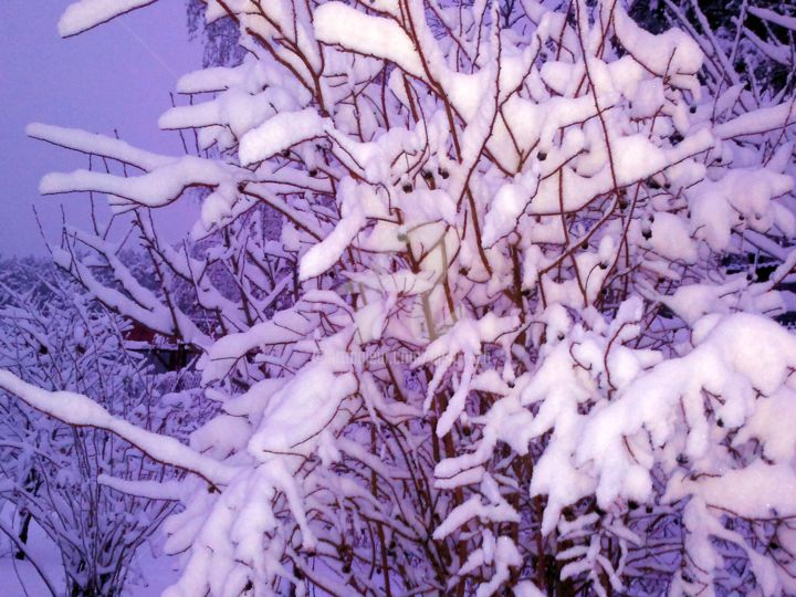 Photography titled "Schnee. Снег" by Elen Ruzh, Original Artwork