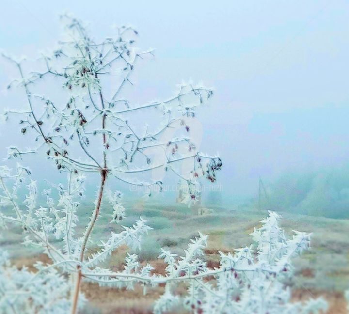 Fotografia intitulada "winter lace" por Elen Ruzh, Obras de arte originais