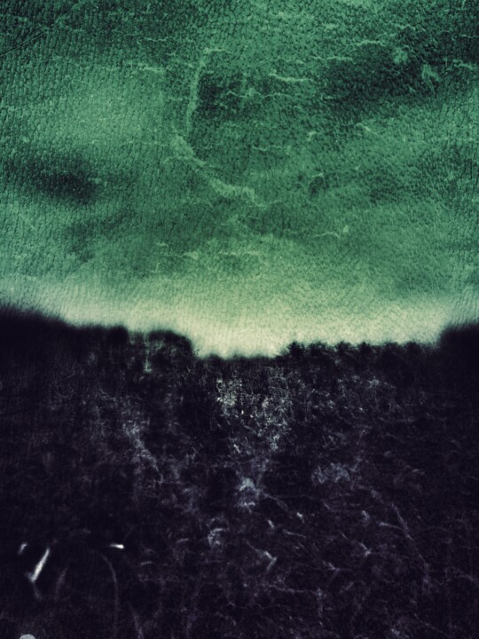 Photographie intitulée "corner in the woods" par Elena Flying, Œuvre d'art originale, Photographie manipulée