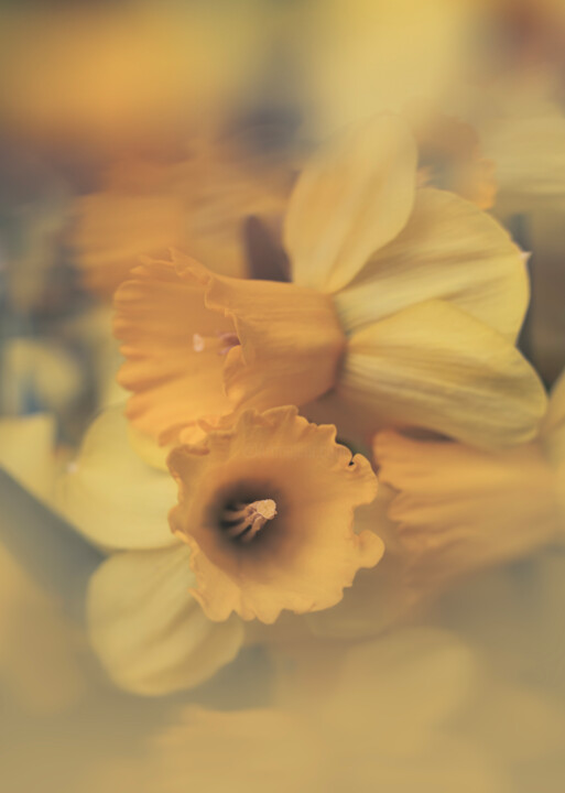 Photography titled "Narciso" by Elena Gurinenko, Original Artwork, Digital Photography