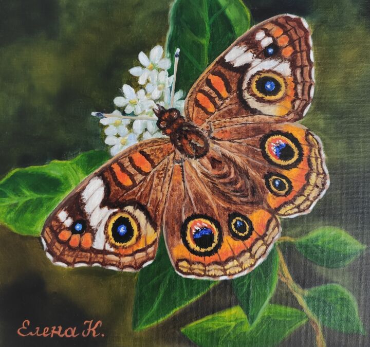 绘画 标题为“Junonia butterfly” 由Elena Kozyutenko, 原创艺术品, 油 安装在纸板上