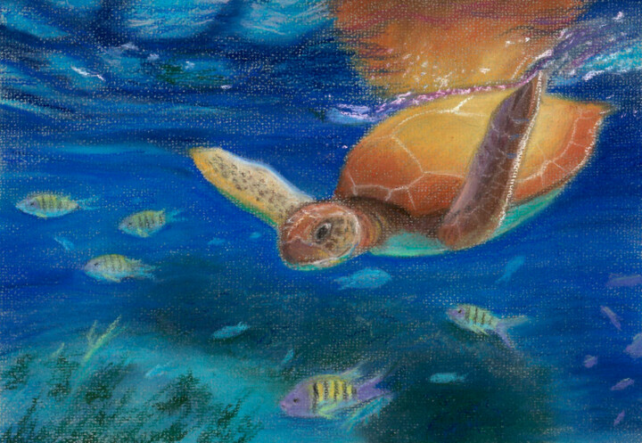 Drawing titled "Sea. Turtle(P)" by Elena Petrova, Original Artwork, Pastel