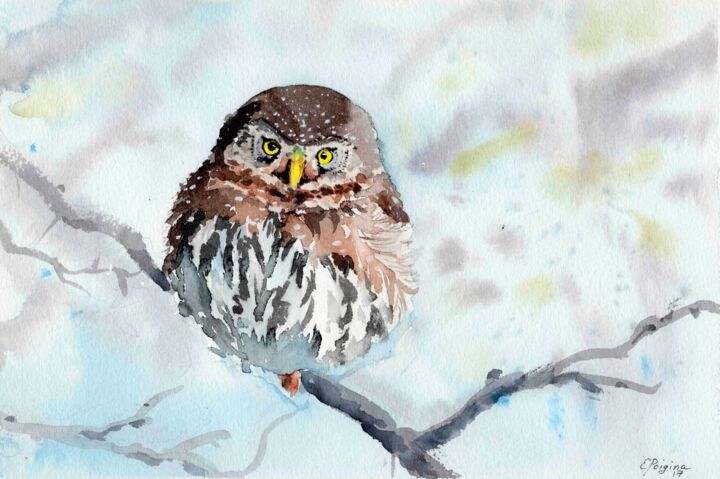 Peinture intitulée "A passerine owl" par Elena Poigina, Œuvre d'art originale, Aquarelle