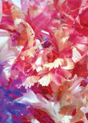 Arte digitale intitolato "Fiori e colori" da Elena Cobez, Opera d'arte originale