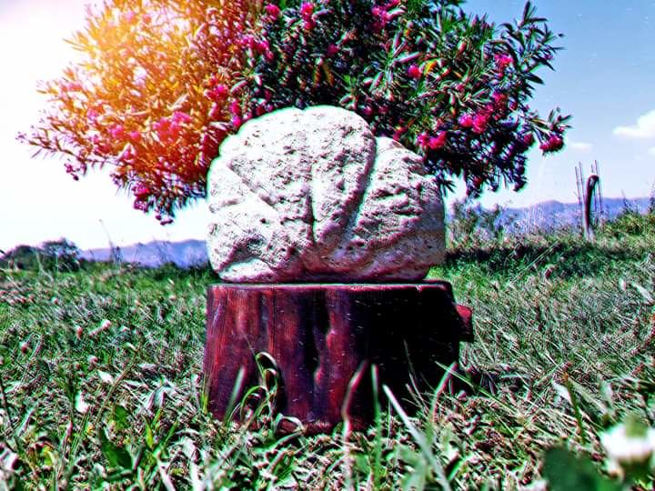 Scultura intitolato "Nature vivante" da Eleonora Morelli, Opera d'arte originale, Pietra