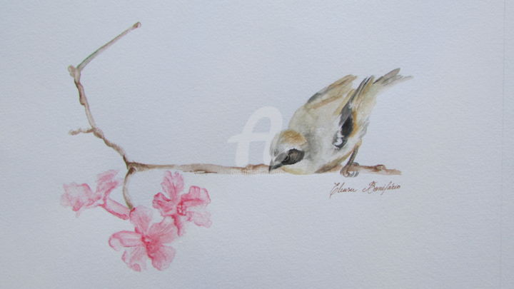 Pintura intitulada "A flor do Ipê e a C…" por Eleusa Bonifácio, Obras de arte originais, Aquarela