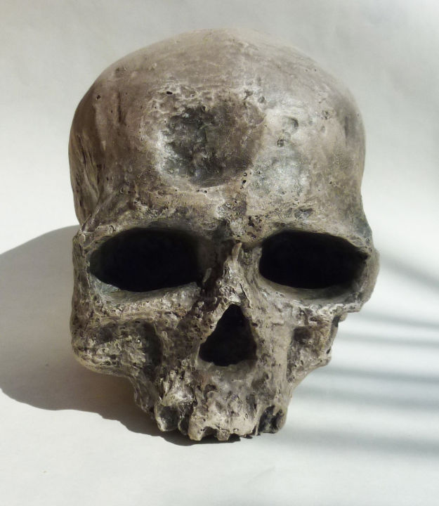 Sculpture intitulée "Cromagnon skull" par Javier Fortea, Œuvre d'art originale, Résine