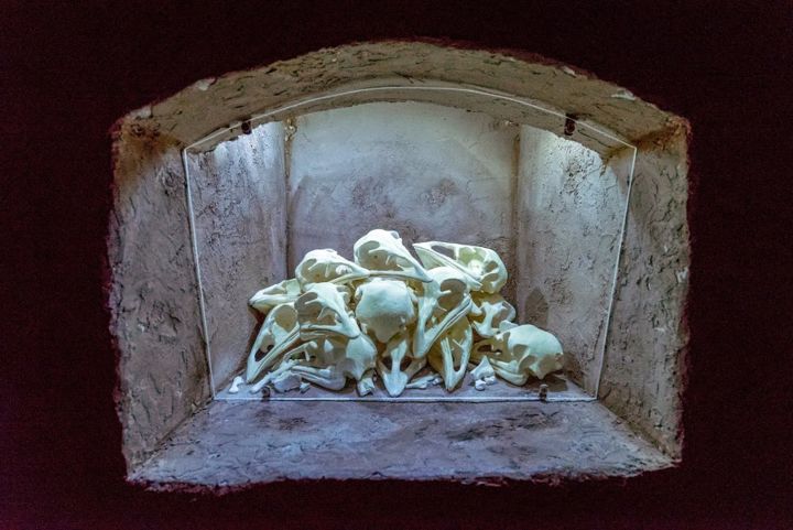 Sculptuur getiteld "skull bird crypt" door Javier Fortea, Origineel Kunstwerk, Gips