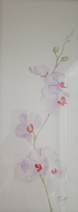 Painting titled "DESCENTE D'ORCHIDEE…" by Eliane Morvan (CREADELI  "les petits bonheurs d'Eli"), Original Artwork, Watercolor