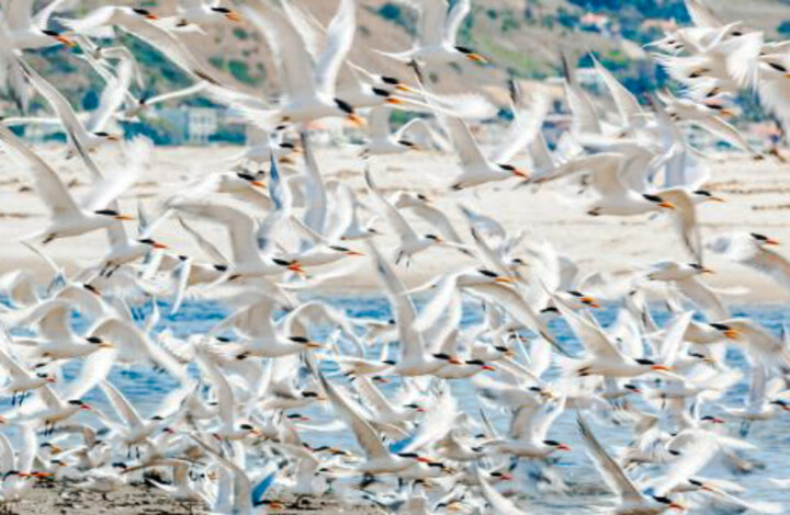 Fotografia zatytułowany „Rush Hour” autorstwa Elias, Oryginalna praca, Fotografia cyfrowa