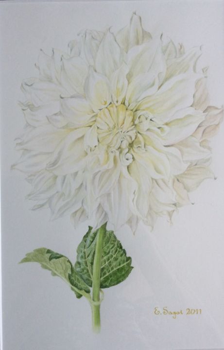 Peinture intitulée "Dahlia. Aquarelle b…" par Eliette Sagot, Œuvre d'art originale, Aquarelle