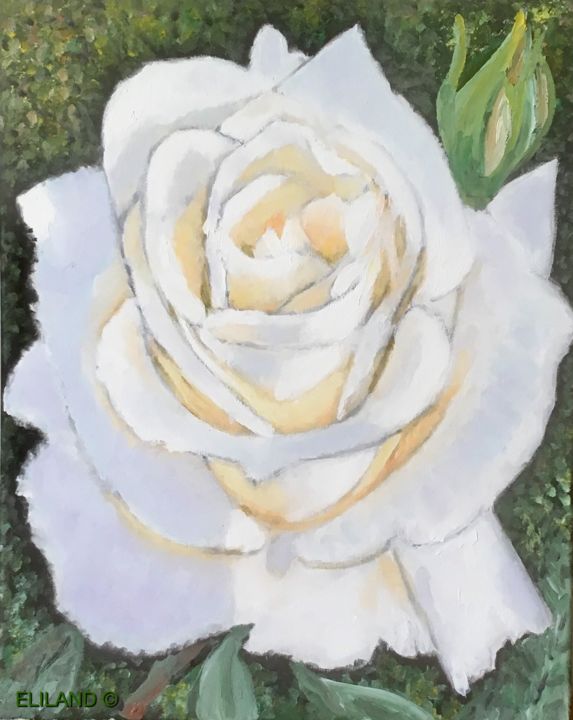 Rose Blanche, Painting by Eliland | Artmajeur