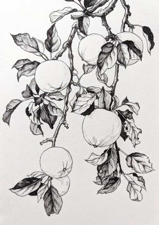 Рисунок под названием "Apple tree branch" - Elisa Aleksenko, Подлинное произведение искусства, Чернила