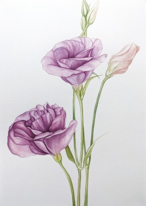 Painting titled "Eustoma flower" by Elisa Aleksenko, Original Artwork, Watercolor