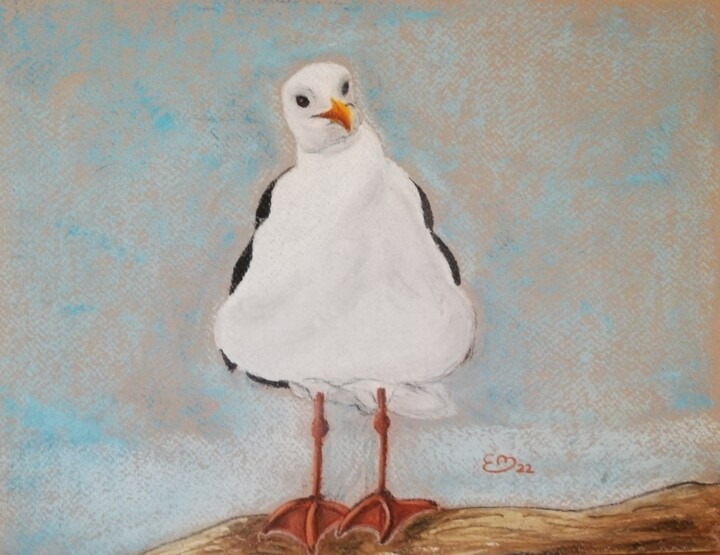 Drawing titled "Mouette rieuse" by Élisa Brun, Original Artwork, Pastel Mounted on Wood Panel