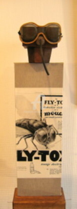 Painting titled "Fly tox NOUVEAUTE" by Elisabeth Faucheur, Original Artwork