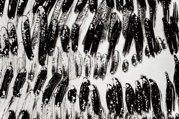 "gènes éthiques.jpg" başlıklı Fotoğraf Elisabeth Laplante tarafından, Orijinal sanat, Dijital Fotoğrafçılık