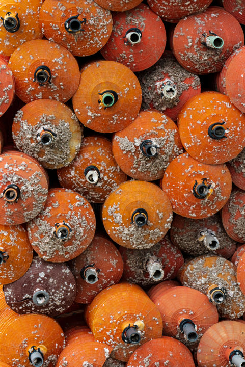 Photography titled "oranges rondes.jpg" by Elisabeth Laplante, Original Artwork, Digital Photography