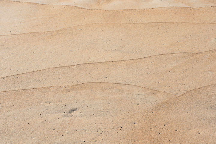 「fausses dunes.jpg」というタイトルの写真撮影 Elisabeth Laplanteによって, オリジナルのアートワーク, デジタル