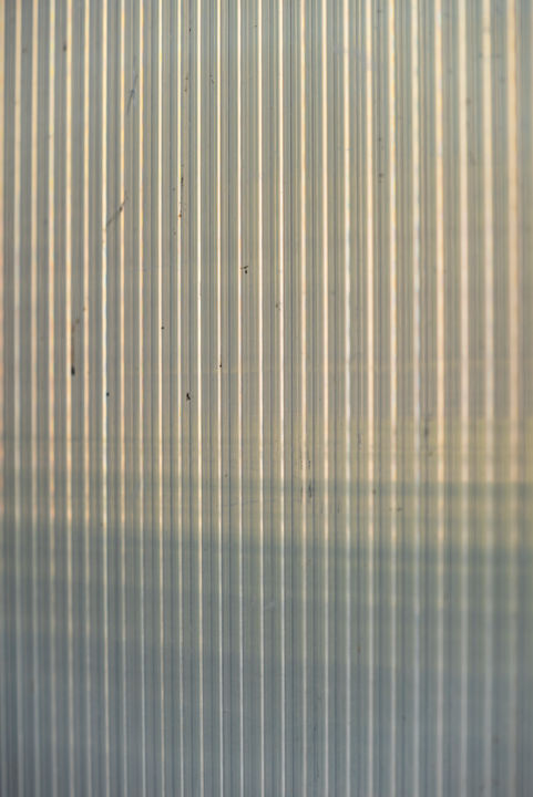 Fotografia intitulada "transparence irisée…" por Elisabeth Laplante, Obras de arte originais, Fotografia digital