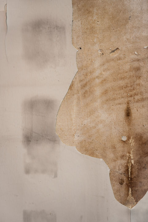 "body on the wall.jpg" başlıklı Fotoğraf Elisabeth Laplante tarafından, Orijinal sanat, Dijital Fotoğrafçılık