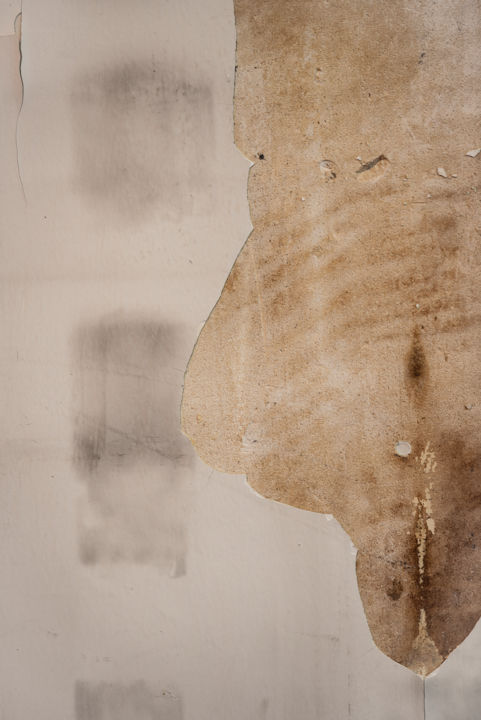 Photography titled "body on the wall.jpg" by Elisabeth Laplante, Original Artwork, Digital Photography