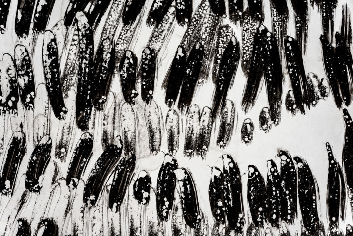 Fotografie mit dem Titel "genes ethiques sur…" von Elisabeth Laplante, Original-Kunstwerk, Digitale Fotografie Auf Aluminium…