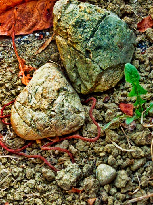 Fotografía titulada "Art  of  Stone" por Elisabetta Nannini Ne, Obra de arte original, Fotografía manipulada